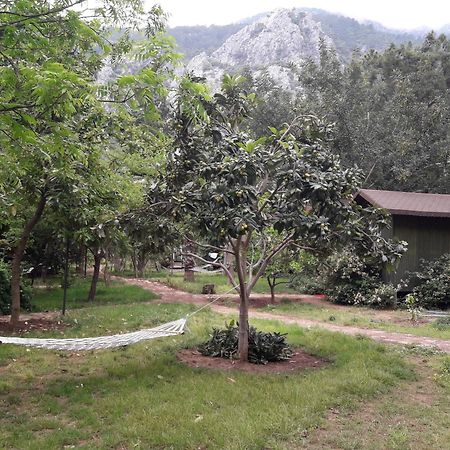 Kibala Hotel Çıralı Esterno foto