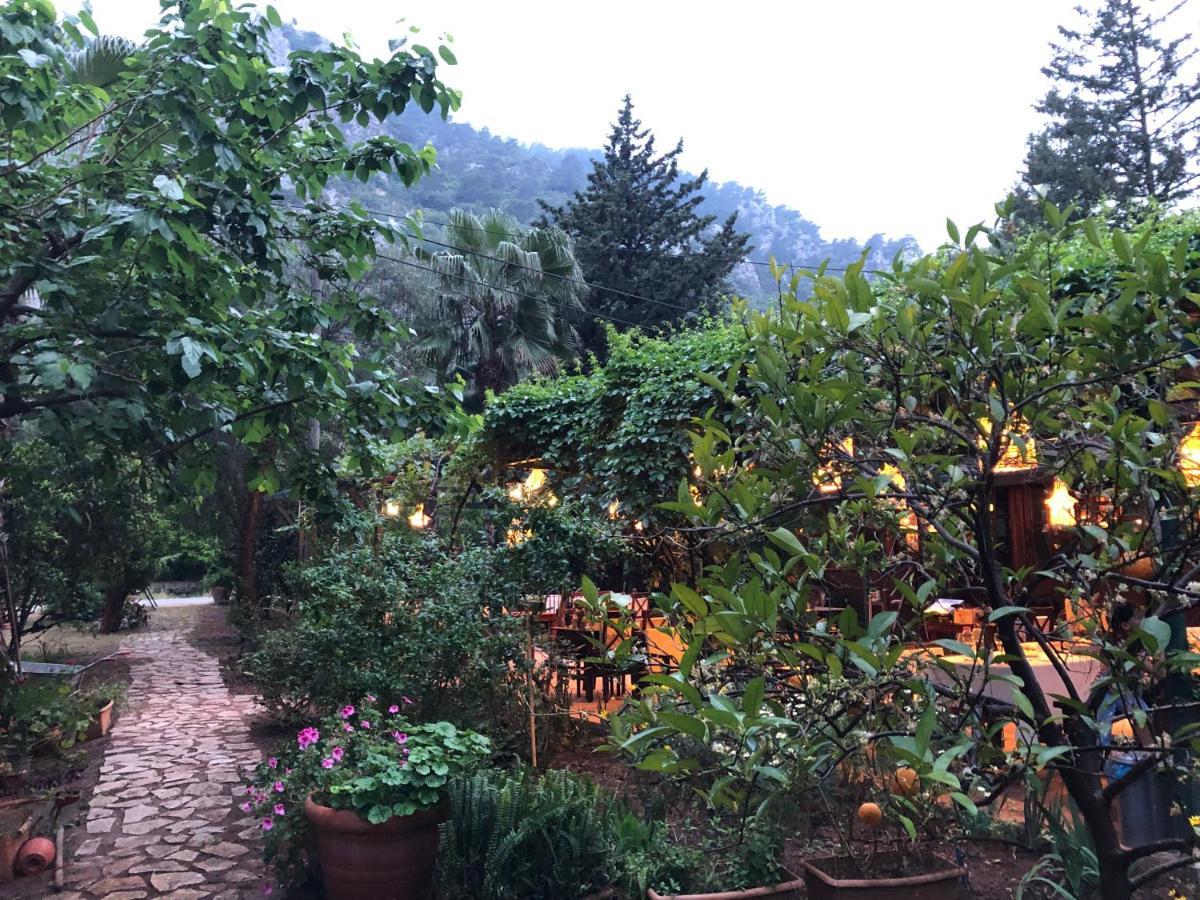 Kibala Hotel Çıralı Esterno foto