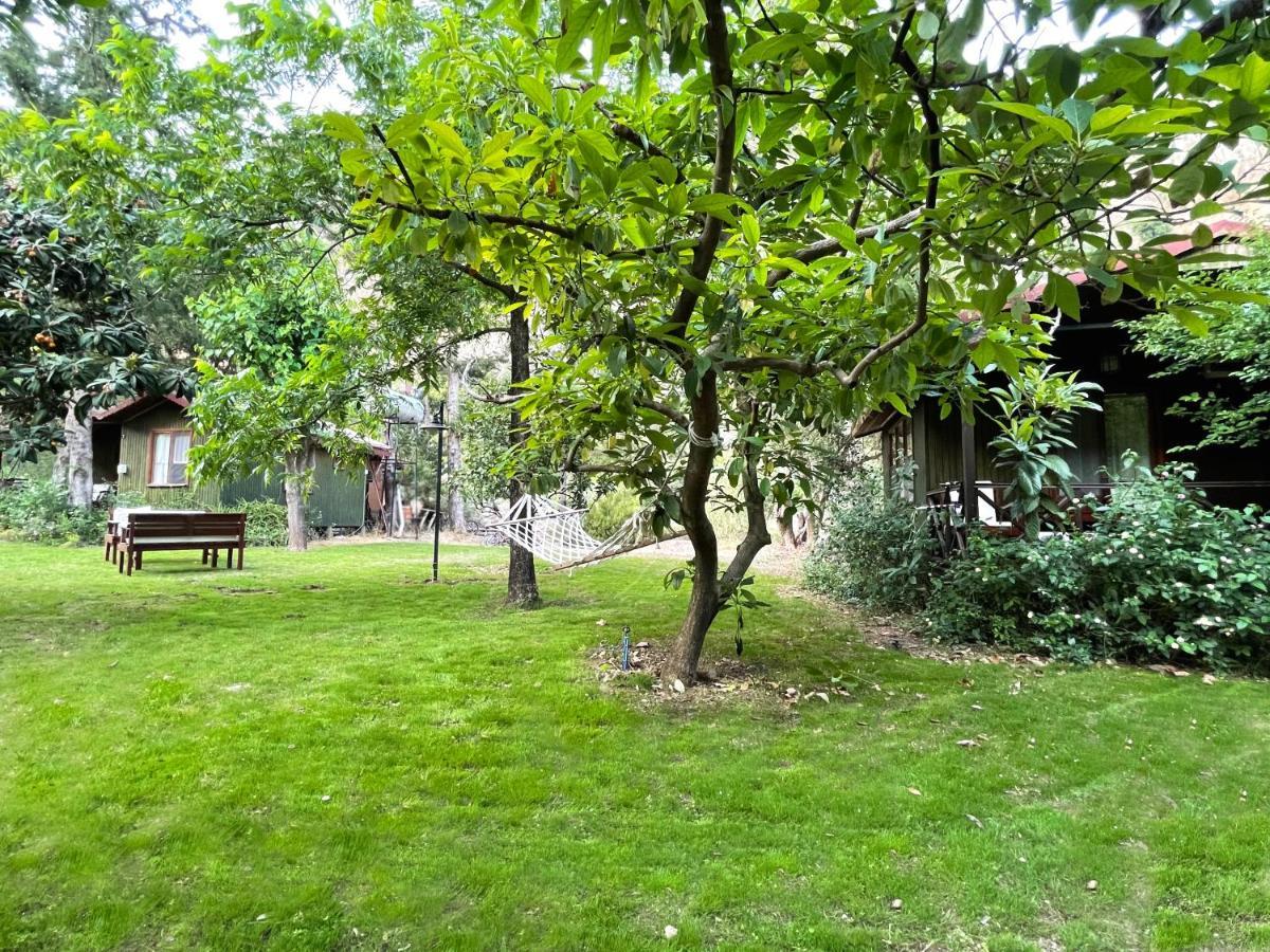 Kibala Hotel Çıralı Esterno foto