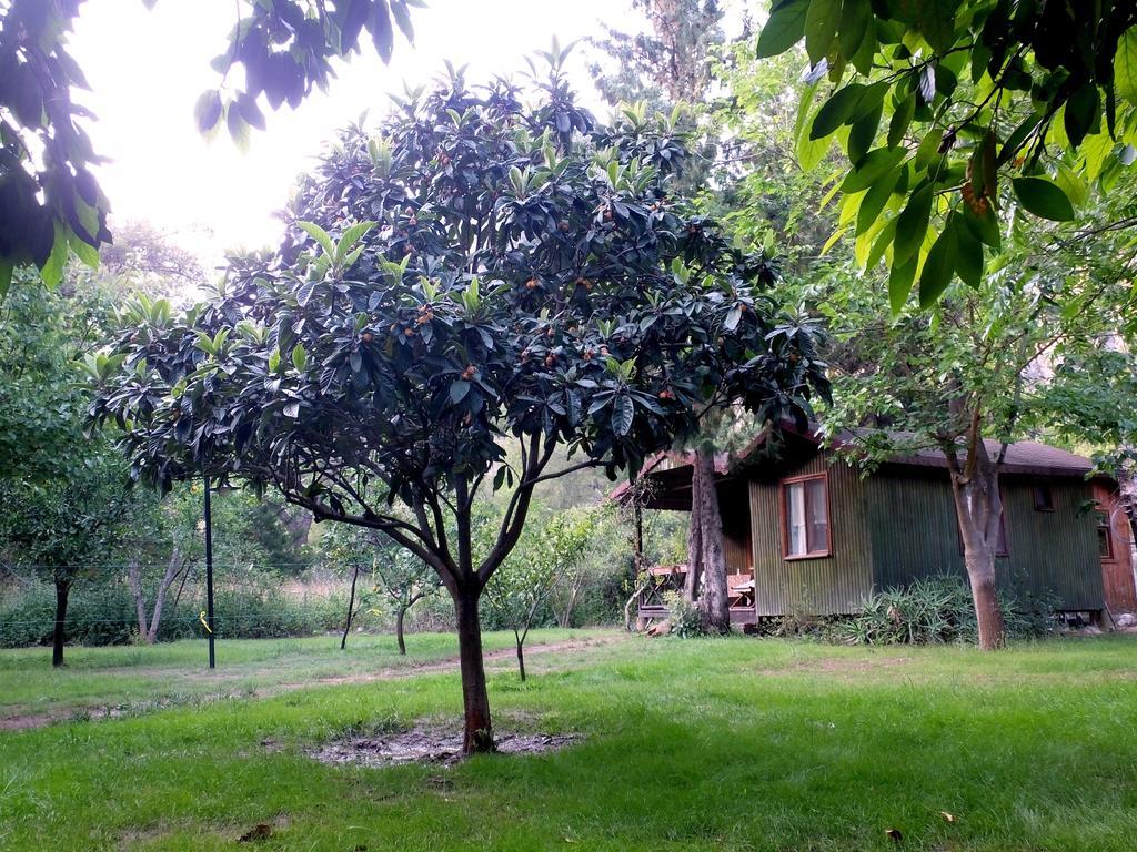 Kibala Hotel Çıralı Esterno foto