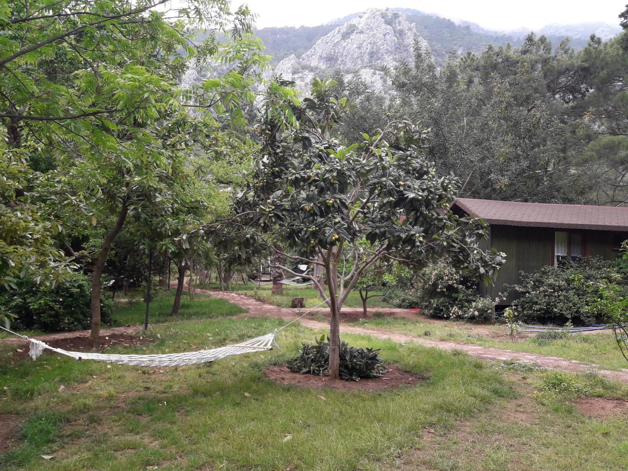 Kibala Hotel Çıralı Esterno foto