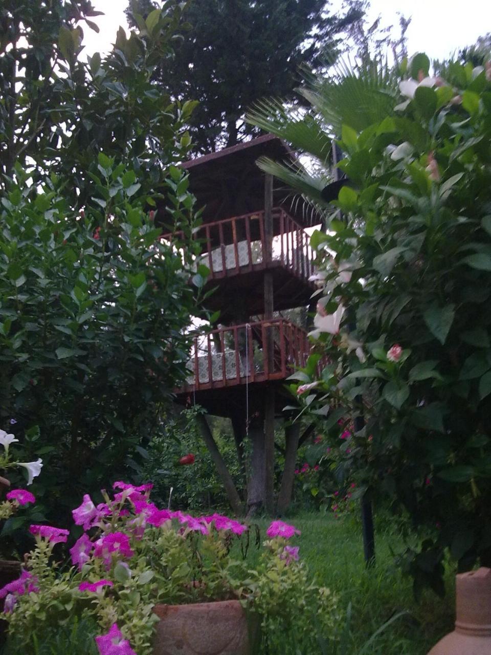 Kibala Hotel Çıralı Esterno foto