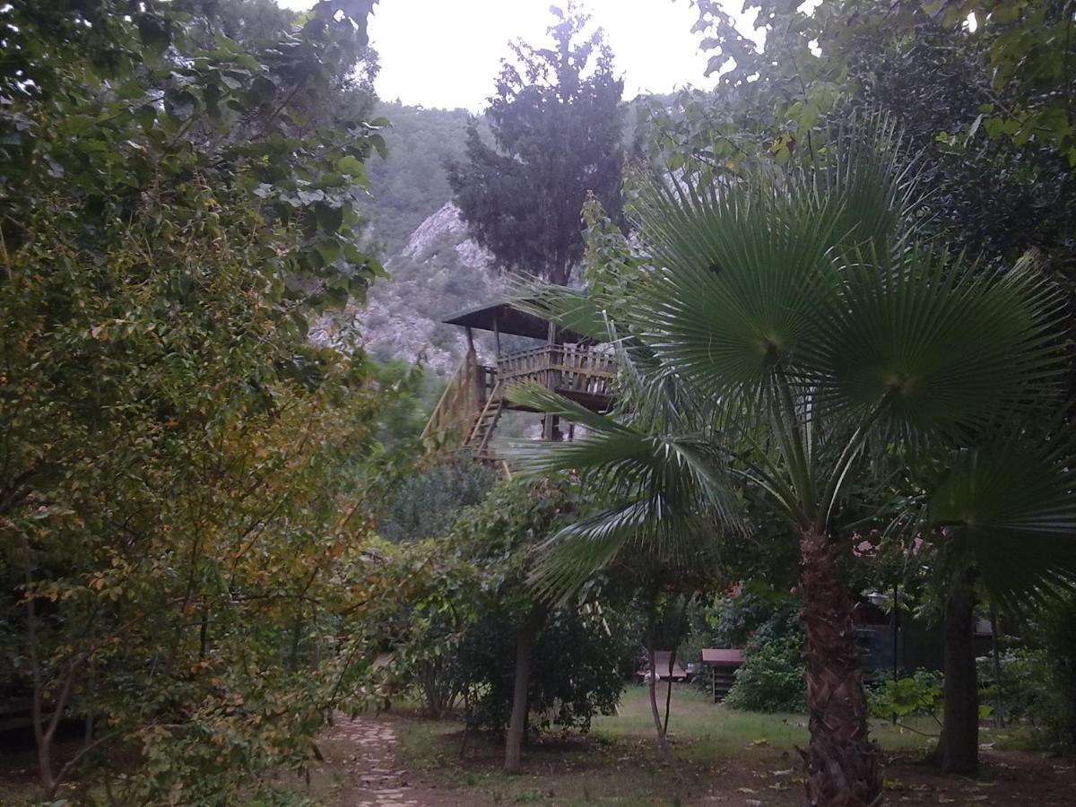 Kibala Hotel Çıralı Esterno foto