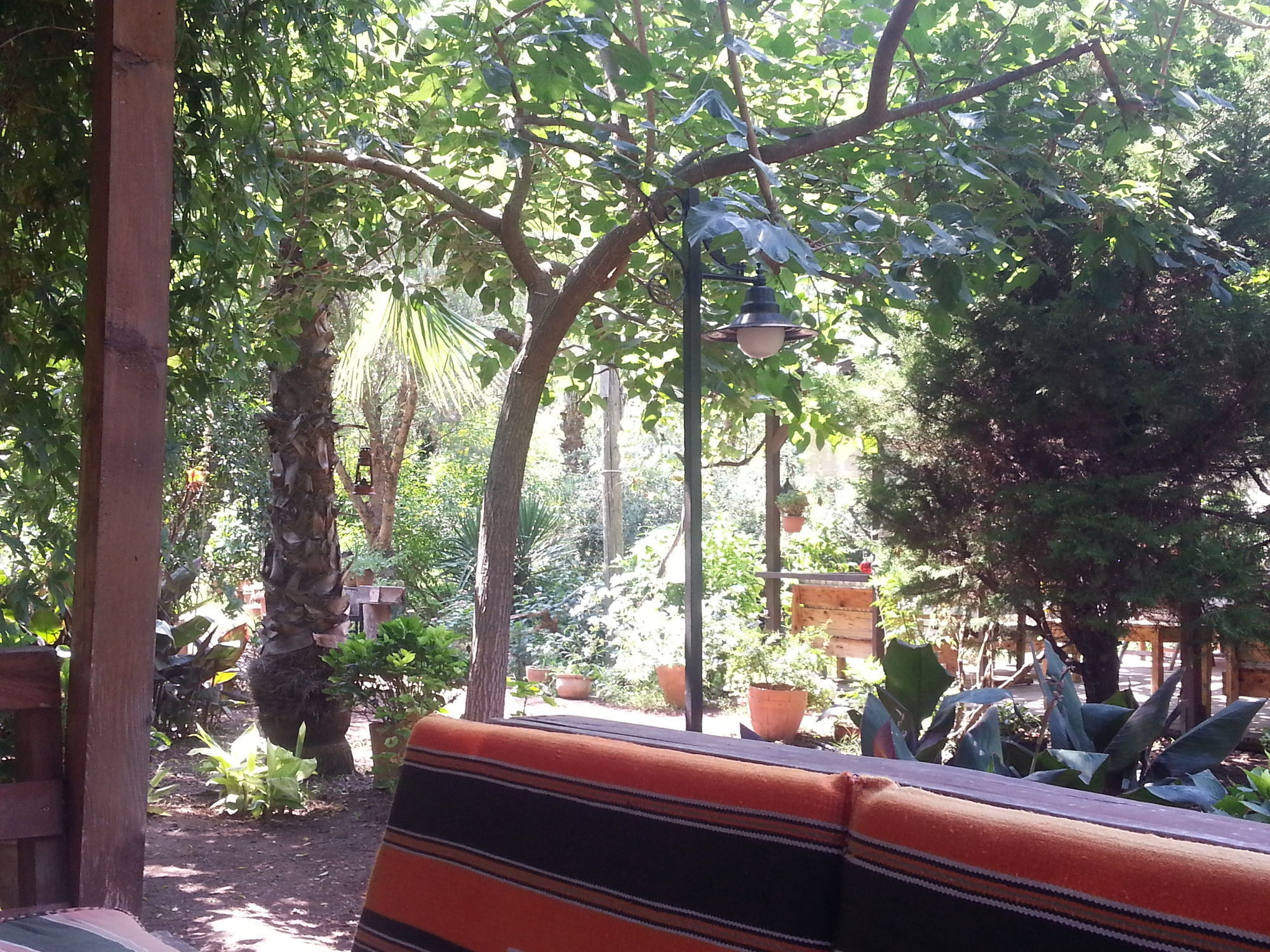 Kibala Hotel Çıralı Esterno foto