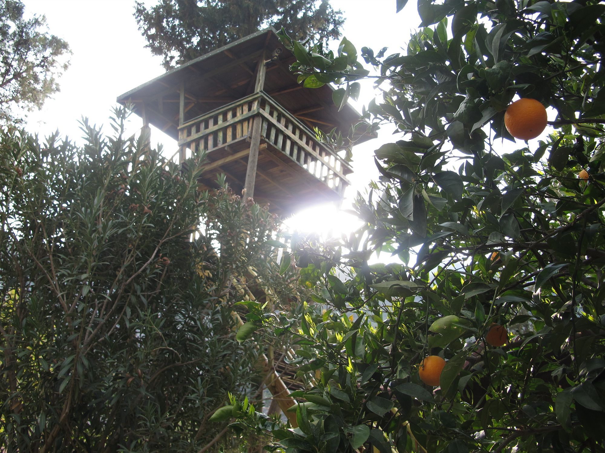 Kibala Hotel Çıralı Esterno foto