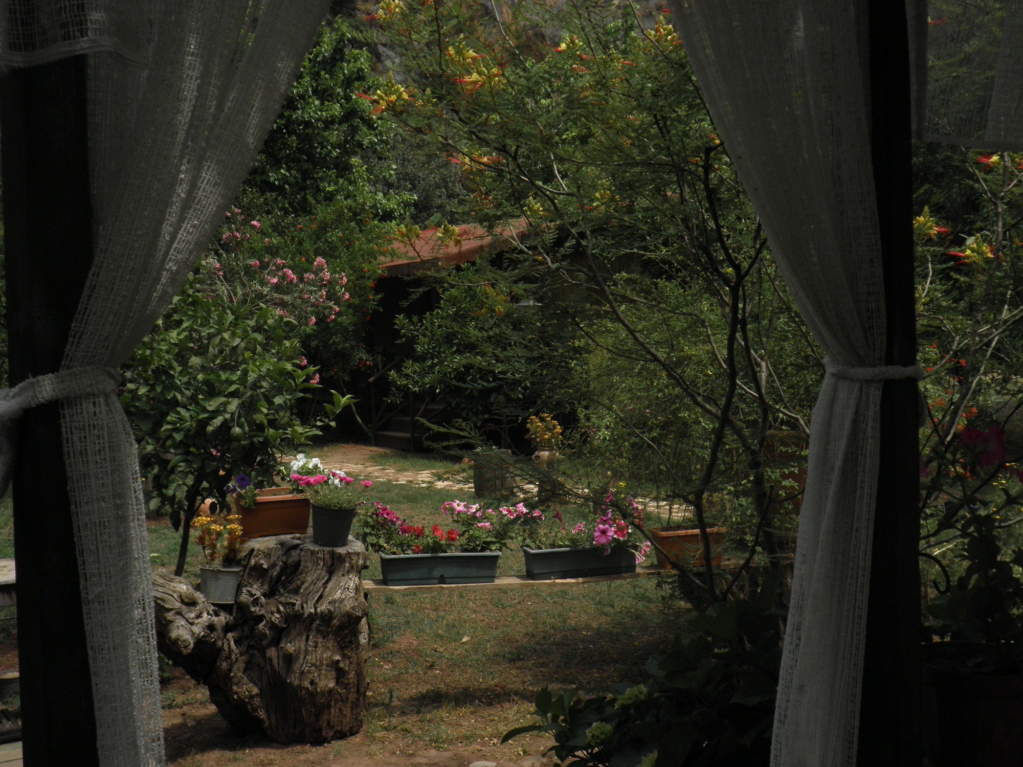 Kibala Hotel Çıralı Esterno foto